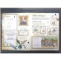 Usborne See inside the World of Shakespeare