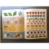 Usborne Get Ready for School: Shapes Sticker Book