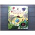 Usborne Wind-Up Ladybird (Wind-up Books)