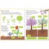 Usborne My First Book about How Things Grow