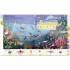 Campbell Books My First Search and Find Book: Wild Animals