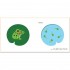 Chronicle Books TouchThinkLearn: Baby Animals