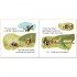 Usborne Spider in a Glider