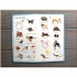 Usborne 199 Animals