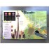 Usborne See inside Bridges, Towers and Tunnels