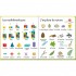 Usborne Mon grand imagier: A l'ecole