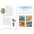 Usborne The Boy Who Cried Wolf