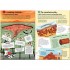 Usborne 100 things to know about Planet Earth