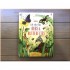 Usborne Lift-the-Flap Bugs and Butterflies