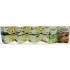 Usborne Fold-Out Dinosaur Timeline