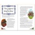 Usborne The Adventures of King Arthur Graphic Novel