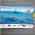 Campbell Books My First Search and Find Book: Sea Creatures