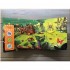 Campbell Books First Explorers: Brilliant Bugs