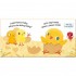 Pat-a-cake Clap Hands: Here Come the Chicks