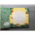 Campbell Books There Are 101 Animals in This Book