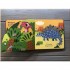 My First Touch and Find Dinosaurs