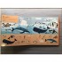 Campbell Books There Are 101 Sea Creatures in This Book