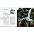 Frances Lincoln Children's Books A World Full of Animal Stories