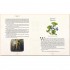 Palazzo Editions The Secret Garden