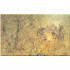 Palazzo Editions The Jungle Book
