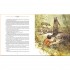 Palazzo Editions The Jungle Book