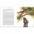 Palazzo Editions The Jungle Book