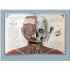 Templar The Human Body: A Pop-Up Guide to Anatomy