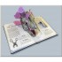 Templar Tyrannosaurus Rex: A Pop-Up Guide to Anatomy