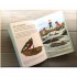 Nosy Crow National Trust: Go Wild at the Seaside