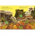 Nosy Crow National Trust: A Nature Sticker Book: Beetles, Butterflies and Other British Minibeasts