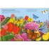 Nosy Crow National Trust: A Nature Sticker Book: Beetles, Butterflies and Other British Minibeasts