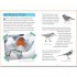 Nosy Crow National Trust: Out and About: Bird Spotter