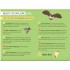 Nosy Crow National Trust: Out and About: Night Explorer