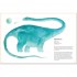 Pavilion Children's Books Dinosaurs and Other Prehistoric Creatures