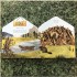 Caterpillar Books Animal Homes