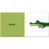 Button Books Alain Gree: My First Book of Colours