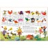 Button Books Alain Gree: Activity Book