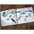 Flying Eye Books One Day on Our Blue Planet: In the Antarctic