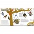 b small Nature Book