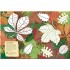 National Trust Tree Explorer Nature Sticker and Activity Book