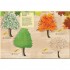 National Trust Tree Explorer Nature Sticker and Activity Book