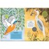 National Trust Pond Explorer Nature Sticker and Activity Book