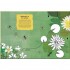 National Trust Pond Explorer Nature Sticker and Activity Book