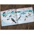 One Day on Our Blue Planet: In the Antarctic
