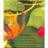 Little Tiger Press Let's Explore Animal Homes