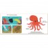 Twirl Books Touch and Explore The Ocean