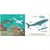 Twirl Books Touch and Explore The Ocean