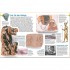 DK Verlag memo Wissen entdecken: Das alte Ägypten