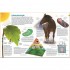 DK Verlag memo Wissen entdecken: Naturwissenschaften