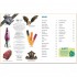 DK Verlag memo Wissen entdecken: Naturwissenschaften